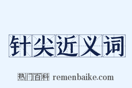 针尖近义词是什么意思的图片